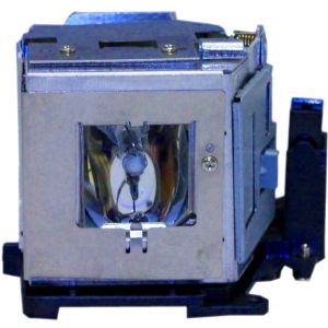 base_image_label-300612-OI62290