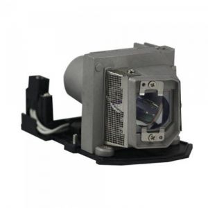 base_image_label-300666-OI63967